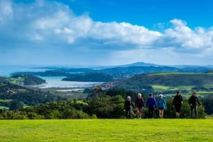 Waiheke Island: Double Headland Premium Guided Coastal Walk