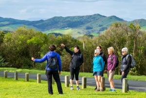 Waiheke Island: Double Headland Premium Guided Coastal Walk