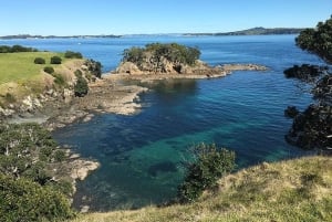 Waiheke Island: Double Headland Premium Guided Coastal Walk