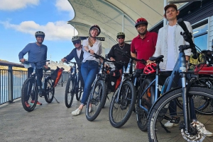 Waiheke Island: Elcykeluthyrning
