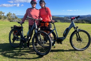 Waiheke Island: Elcykeluthyrning