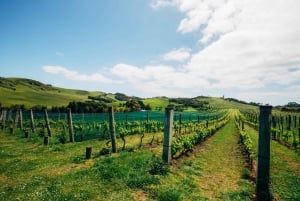 Waiheke Island Food and Wine Tasting Tour from Auckland
