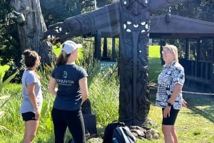 Waiheke Island: Ganztagestour durch Geschichte und Kulturerbe