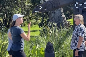 Waiheke Island: Ganztagestour durch Geschichte und Kulturerbe