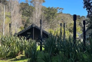 Waiheke Island: Ganztagestour durch Geschichte und Kulturerbe