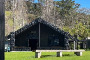 Waiheke Island: Ganztagestour durch Geschichte und Kulturerbe