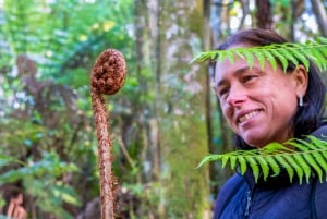 Waiheke Island: Ganztagestour durch Geschichte und Kulturerbe