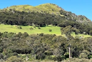 Waiheke Island: Ganztagestour durch Geschichte und Kulturerbe