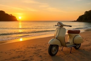 Waiheke Island: Guided Luxury Wine Tour with Tastings