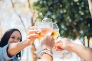 Waiheke Island: Opastettu viinimaistelu kaksikerroksisella bussilla