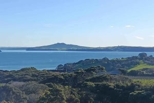 Waiheke Island: Opastettu viinimaistelu kaksikerroksisella bussilla
