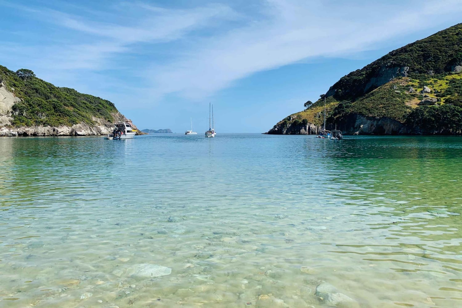 Waiheke Island: Gulf Marine Park Sailing Adventure & Lunch