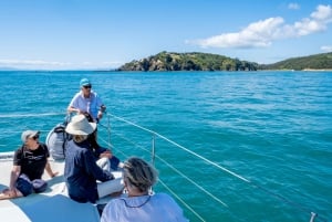 Waiheke Island: Gulf Marine Park Sailing Adventure & Lunch
