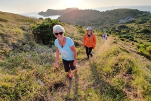 Waiheke Island: Gulf Marine Park Sailing Adventure & Lunch