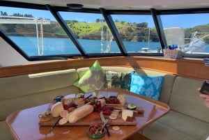 Waiheke Island: Gulf Marine Park Sailing Adventure & Lunch