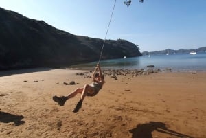 Waiheke Island: Gulf Marine Park Sailing Adventure & Lunch