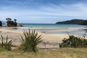 Waiheke Island: Gulf Marine Park Sailing Adventure & Lunch