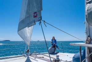 Waiheke Island: Gulf Marine Park Sailing Adventure & Lunch