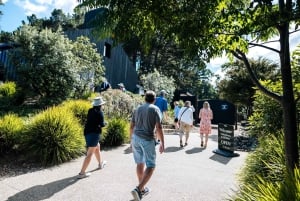 Waiheke Island: HEKE Distillery & Brewery Tour mit Verkostungen