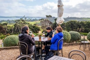 Waiheke Island: Premium Vineyard, Wine Tasting and Bush Walk