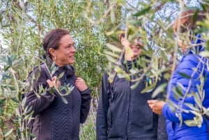 Waiheke Island: Premium Vineyard, Wine Tasting and Bush Walk