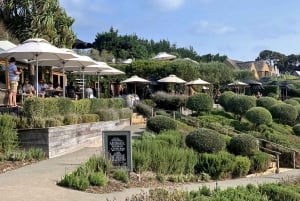 Waiheke Island: Premium Vineyard, Wine Tasting and Bush Walk
