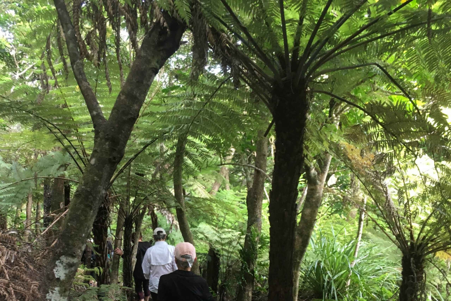 Waiheke Island: Private geführte Te Ara Hura 5-Tages-Wanderung