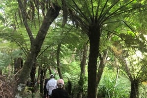 Waiheke Island: Private geführte Te Ara Hura 5-Tages-Wanderung