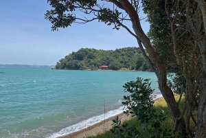 Waiheke Island: Private geführte Te Ara Hura 5-Tages-Wanderung