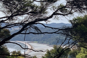Waiheke Island: Private geführte Te Ara Hura 5-Tages-Wanderung