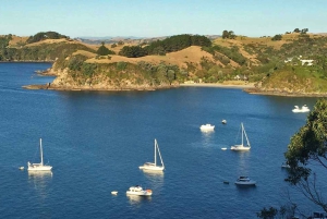 Waiheke Island: Private geführte Te Ara Hura 5-Tages-Wanderung