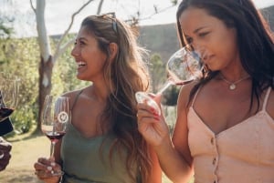 Ilha Waiheke: excursão vinícola pela ilha cénica e degustação de vinhos locais