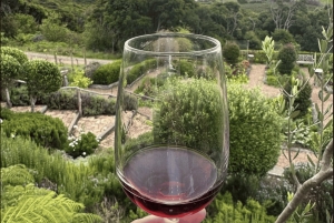 Waiheke Island: solnedgangstur med vinsmaking og middag