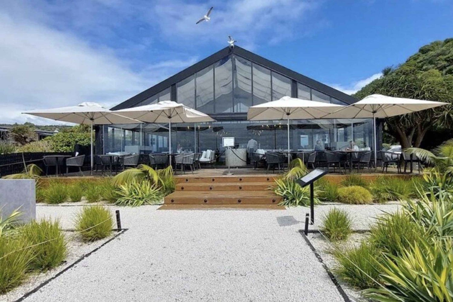Waiheke Island: Ettermiddagsvin med lunsj