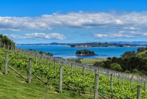 Waiheke Island: The Afternoon Wine Affair with Lunch