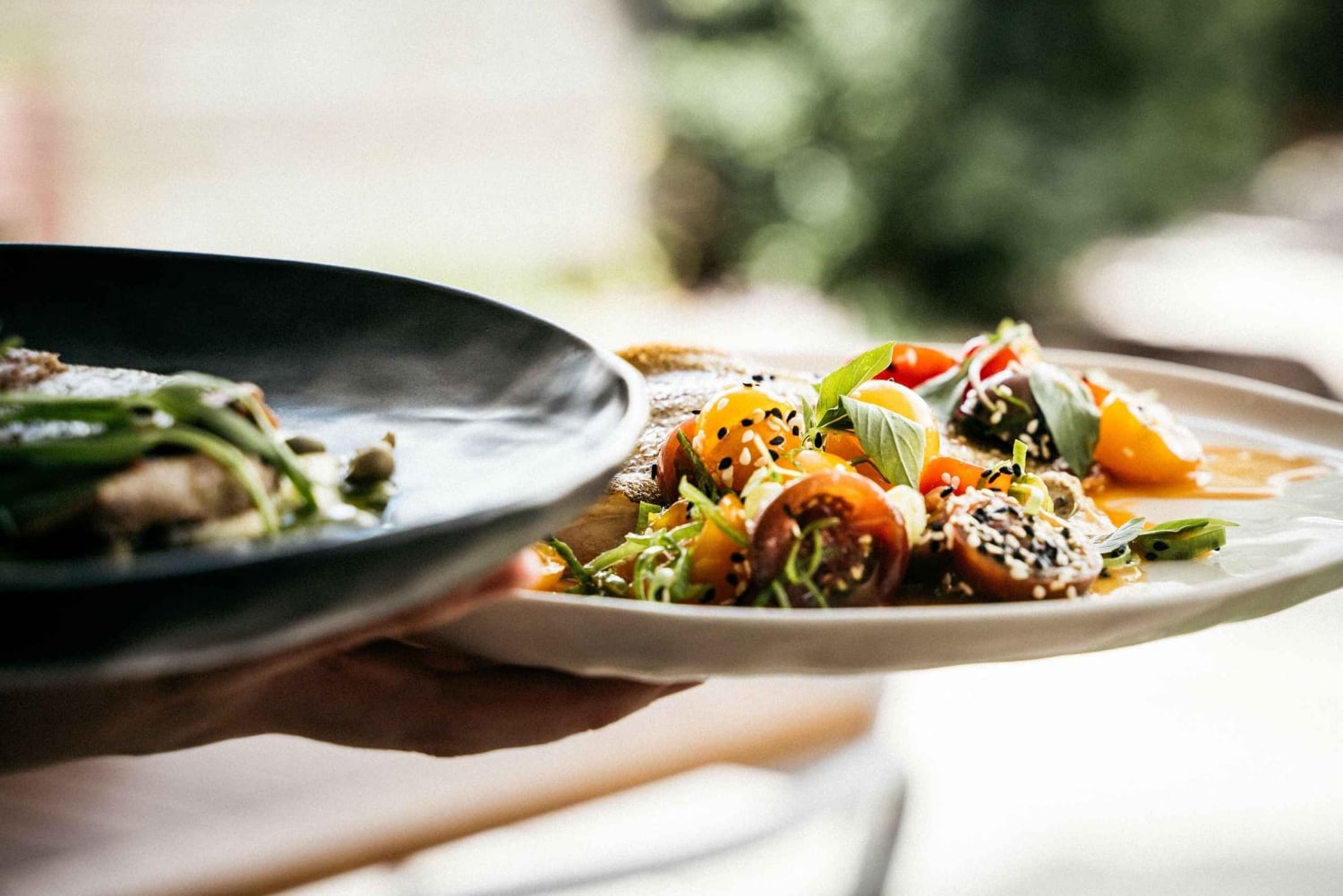 Waiheken saari: Waiheke Wine Tour