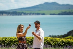 Waiheken saari: Waiheke Wine Tour