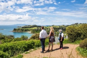 Waiheken saari: Waiheke Wine Tour