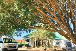 Waiheken saari: Waiheke Wine Tour