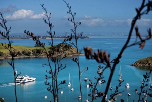 Waiheke Island Twilight Wine & Dine Tour with Ferry