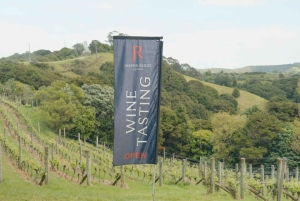 Waiheke Island: Wine, Gin, and Olive Oil Tour with Lunch