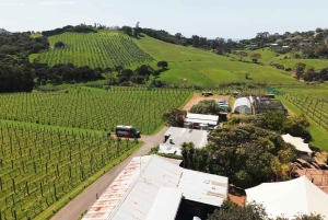 Waiheke Island: Wine, Gin, and Olive Oil Tour with Lunch