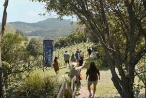 Waiheke Island: Wine, Gin, and Olive Oil Tour with Lunch