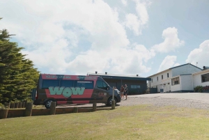 Waiheke Island: Wine, Gin, and Olive Oil Tour with Lunch