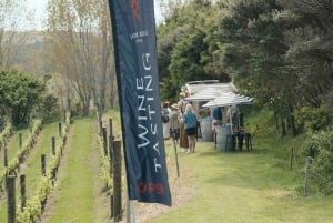 Waiheke Island: Wine, Gin, and Olive Oil Tour with Lunch