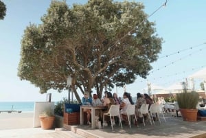 Waiheke Island: Wine, Gin, and Olive Oil Tour with Lunch