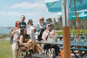 Waiheke Island: Wine, Gin, and Olive Oil Tour with Lunch