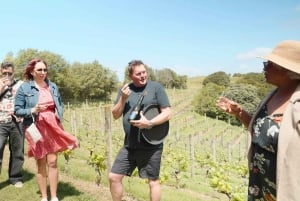 Waiheke Island: Wine, Gin, and Olive Oil Tour with Lunch