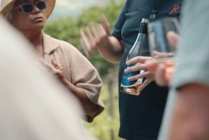 Waiheke Island: Wine, Gin, and Olive Oil Tour with Lunch