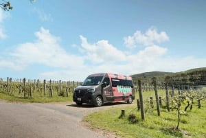 Waiheke Island: Wine, Gin, and Olive Oil Tour with Lunch